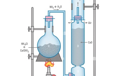 脸上长粉刺怎么办-脸上长粉刺怎么清除网脸上长闭口粉刺是什么原因知识网站,分享脸上长粉刺的正确消除方法大全